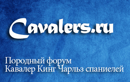 Cavalers.ru